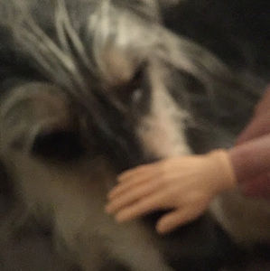 Meet your Posher, Griffin